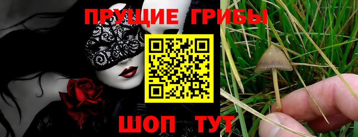 Галлюциногенные грибы Magic Shrooms  Галлюциногенные грибы ЛСД  Улан-Удэ  Вход с VPN 